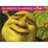 shrek is in fact love 15