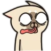 Siamese cat reactions 14