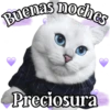 MICHI Pa' Enamorarte bb 11