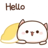 Hello