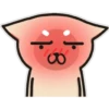 Siamese cat reactions 15