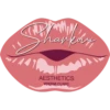 Sharkovi Aesthetics 17