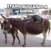 De todo 17