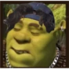 shrek is in fact love 16