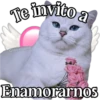 MICHI Pa' Enamorarte bb 12