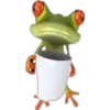 Ranita 3D 16