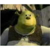 shrek is in fact love 17