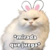 *mirada
que juzga