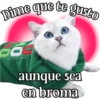 MICHI Pa' Enamorarte bb 13