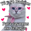 MICHI Pa' Enamorarte bb 14