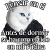MICHI Pa' Enamorarte bb 15