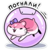 norHAAU!