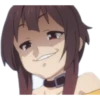 ANIMEs 11