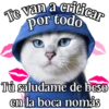 MICHI Pa' Enamorarte bb 16