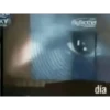 Programas 1 - Audio 15