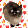 B
8