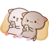 Cat and cat 23