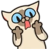 Siamese cat reactions 17