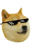 PERRITO 19