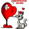 ༄ᶦnd᭄ corazoncito࿐ 13
