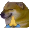 PERRITO 20