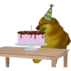 PERRITO 21