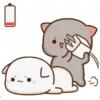 Cat and cat 24