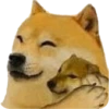 PERRITO 23