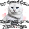 MICHI Pa' Enamorarte bb 19
