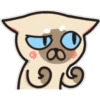 Siamese cat reactions 18