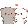 Cat and cat 25