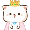 Cat and cat 26
