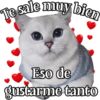 MICHI Pa' Enamorarte bb 20