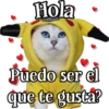 MICHI Pa' Enamorarte bb 21