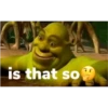 shrek is in fact love 18