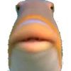 random stickers 9