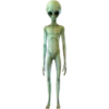 WF