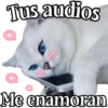 MICHI Pa' Enamorarte bb 22