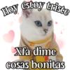 MICHI Pa' Enamorarte bb 23
