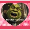 shrek is in fact love 20
