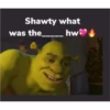 shrek is in fact love 21