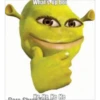 shrek is in fact love 22