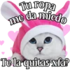 MICHI Pa' Enamorarte bb 24