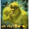 shrek is in fact love 23