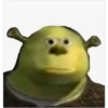 shrek is in fact love 24