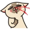 Siamese cat reactions 21