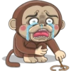 mr monkey 3 18