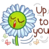 &
Up
to
you