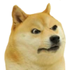 PERRITO 26