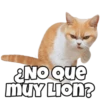 ¿No Que
muy Lion?